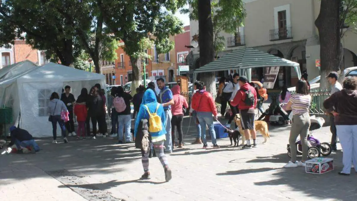 JORNADA