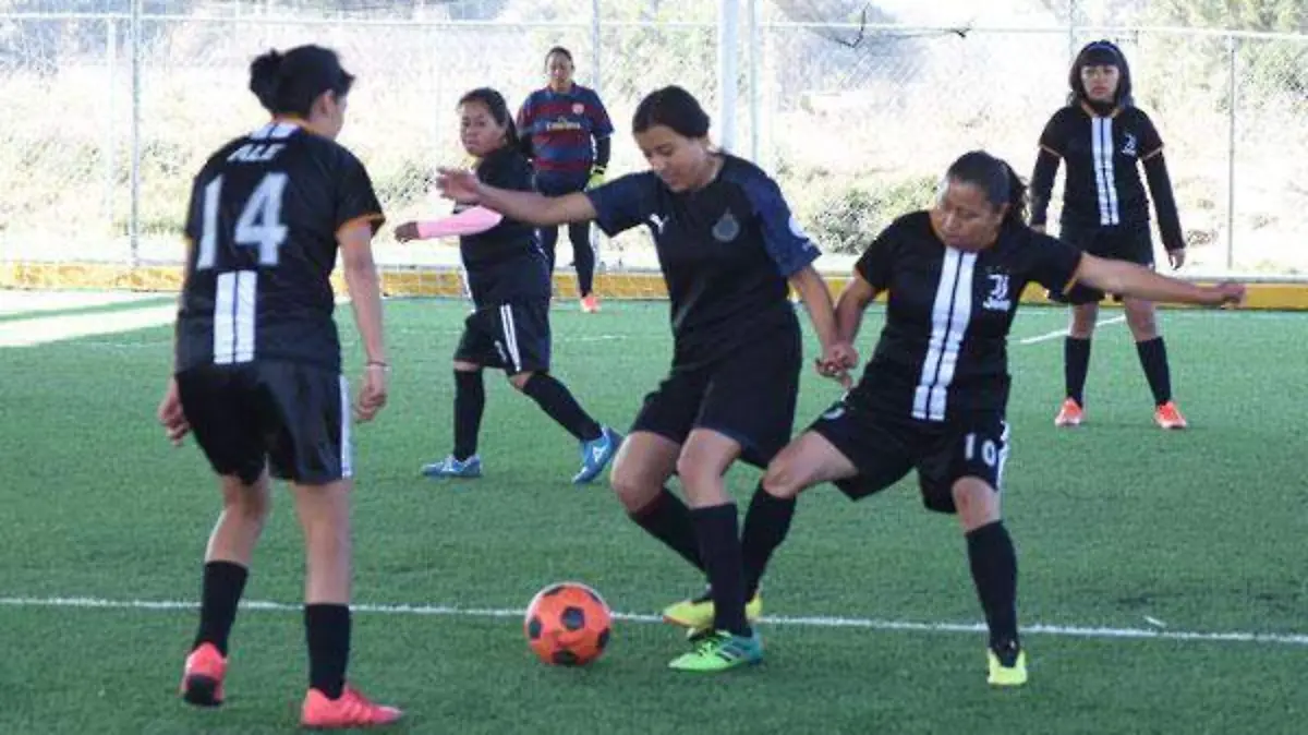 LOS-EQUIPOS-2