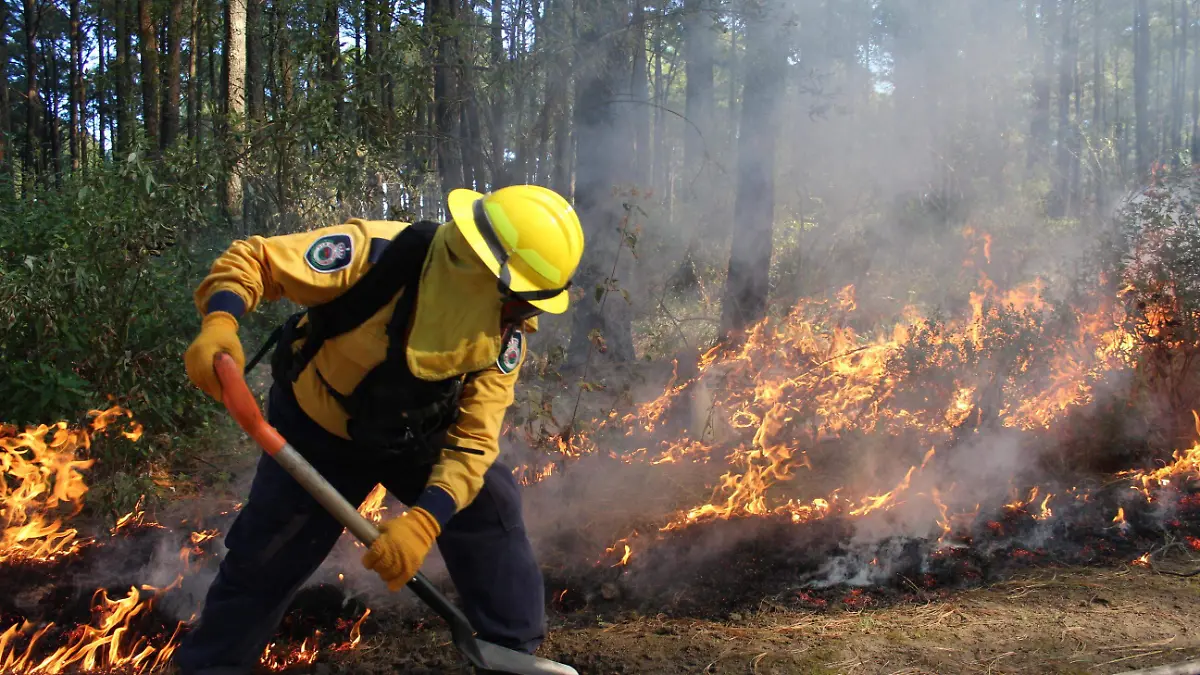 INCENDIOS (1)