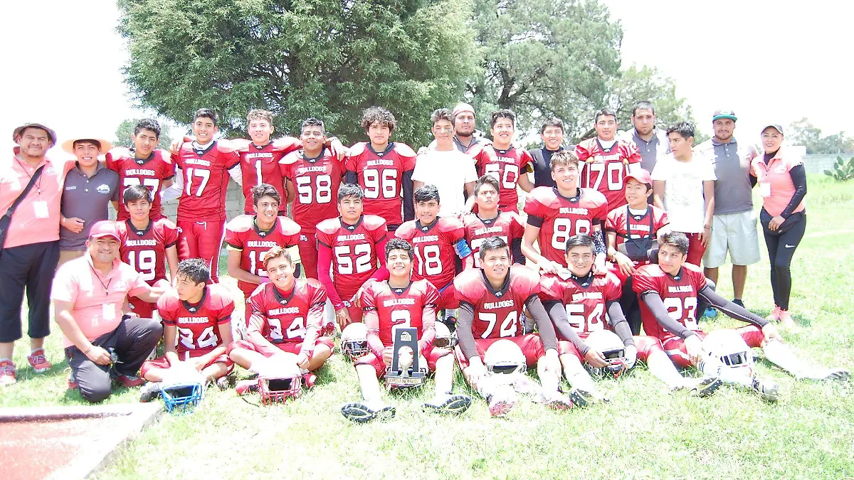 BULLDOGS 3