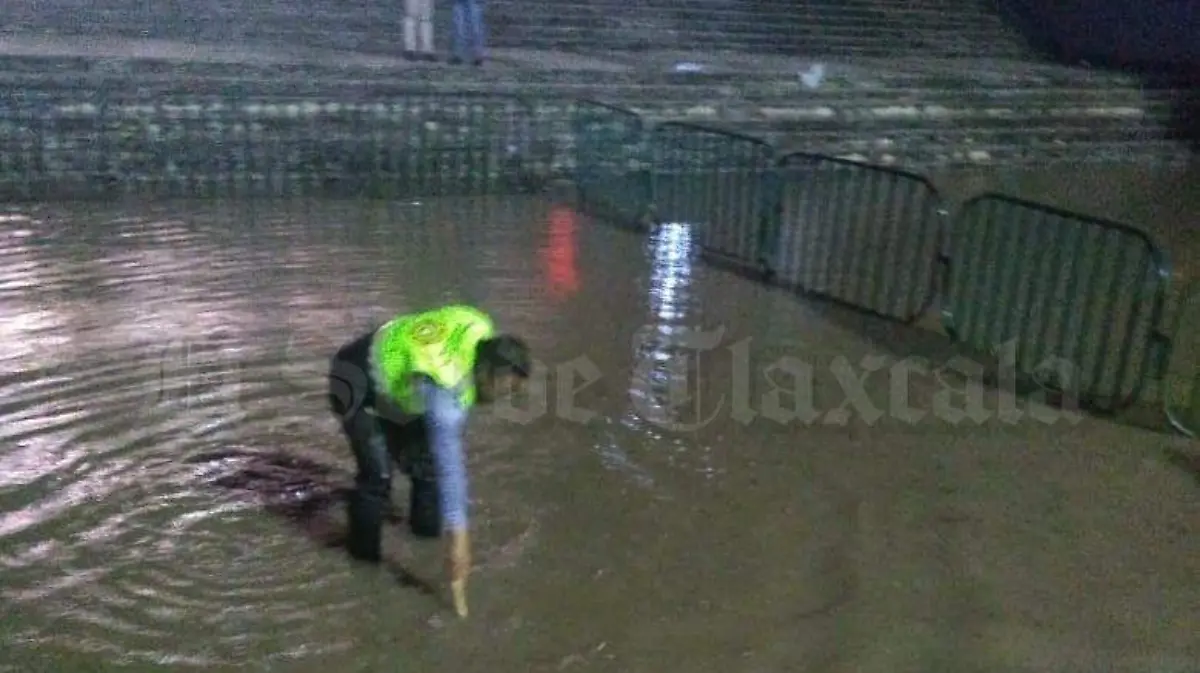 265ab8e7-b766-414d-bc10-ad9e6b8dfa86