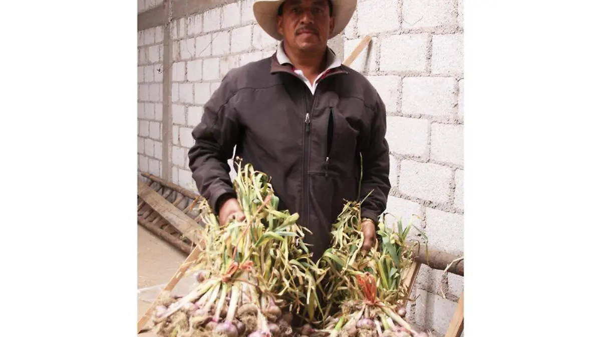 PRODUCTORES-2