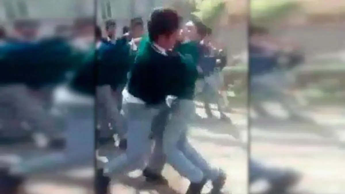 pelea