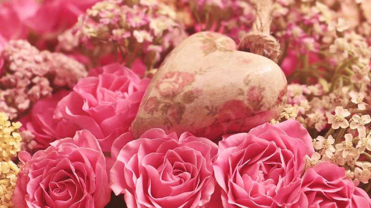 roses-3699995_1920