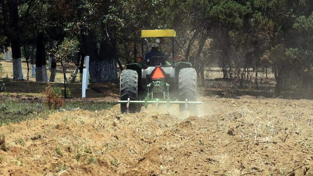CAMPO