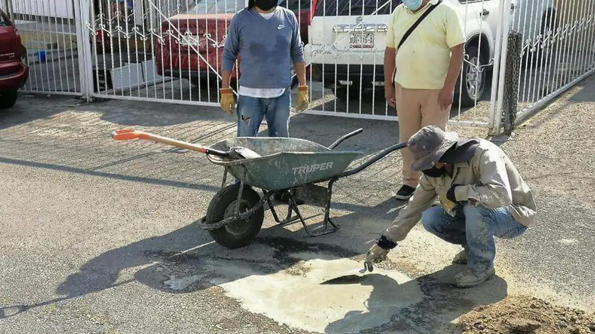 baches