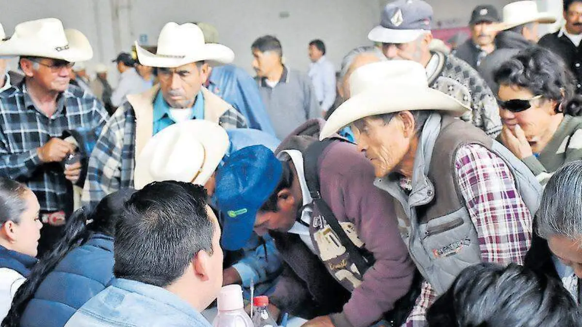 campesinos