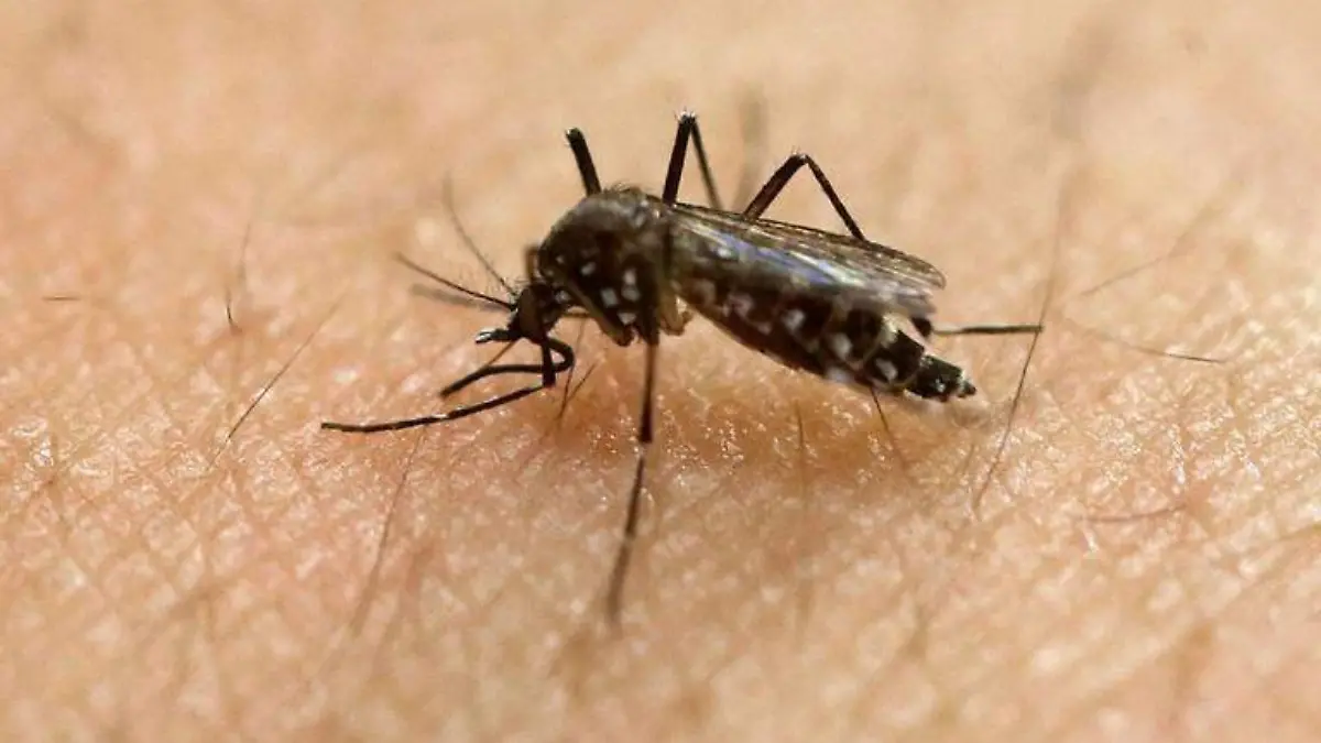 Dengue