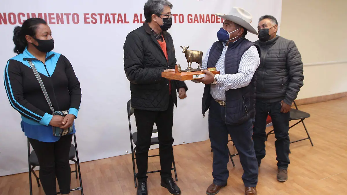 23122020_SEFOA_1