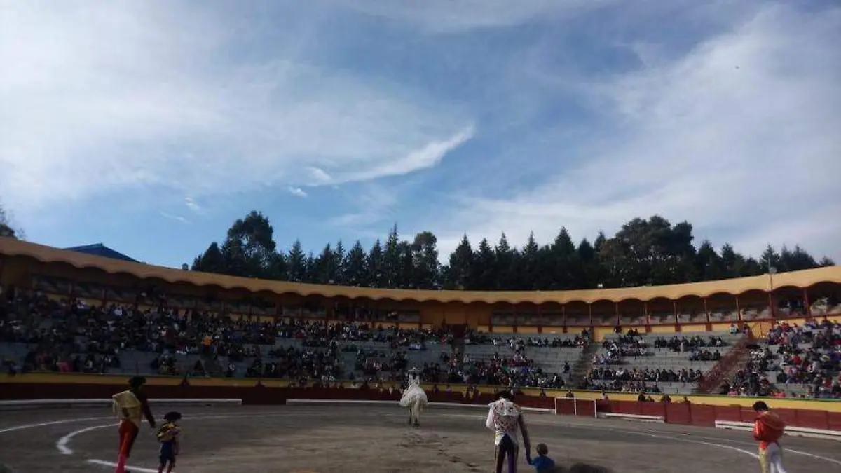 APIZACO 2