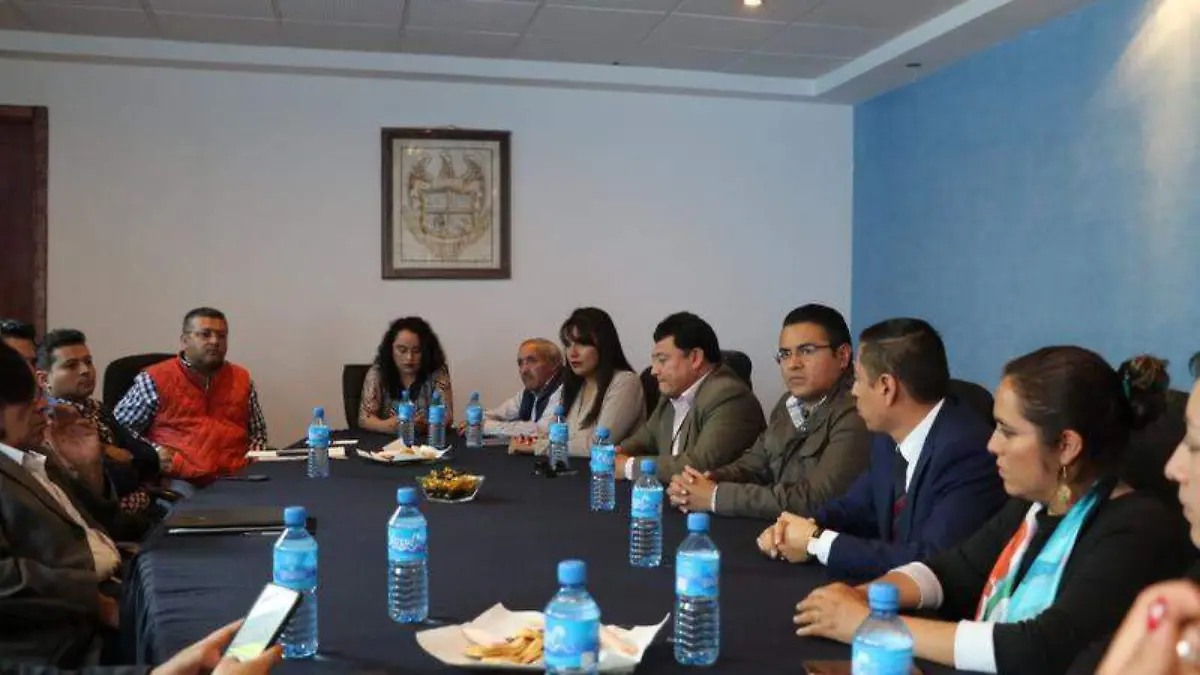 apizaco firma