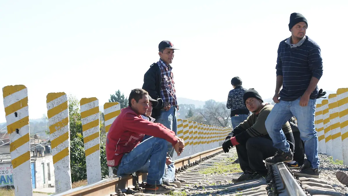 MIGRANTES (1)