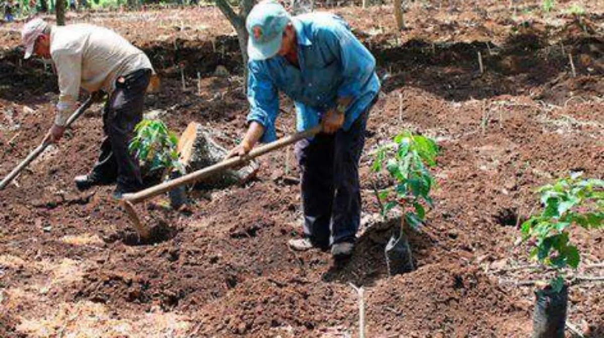 EN-EL-MUNICIPIO-471x314