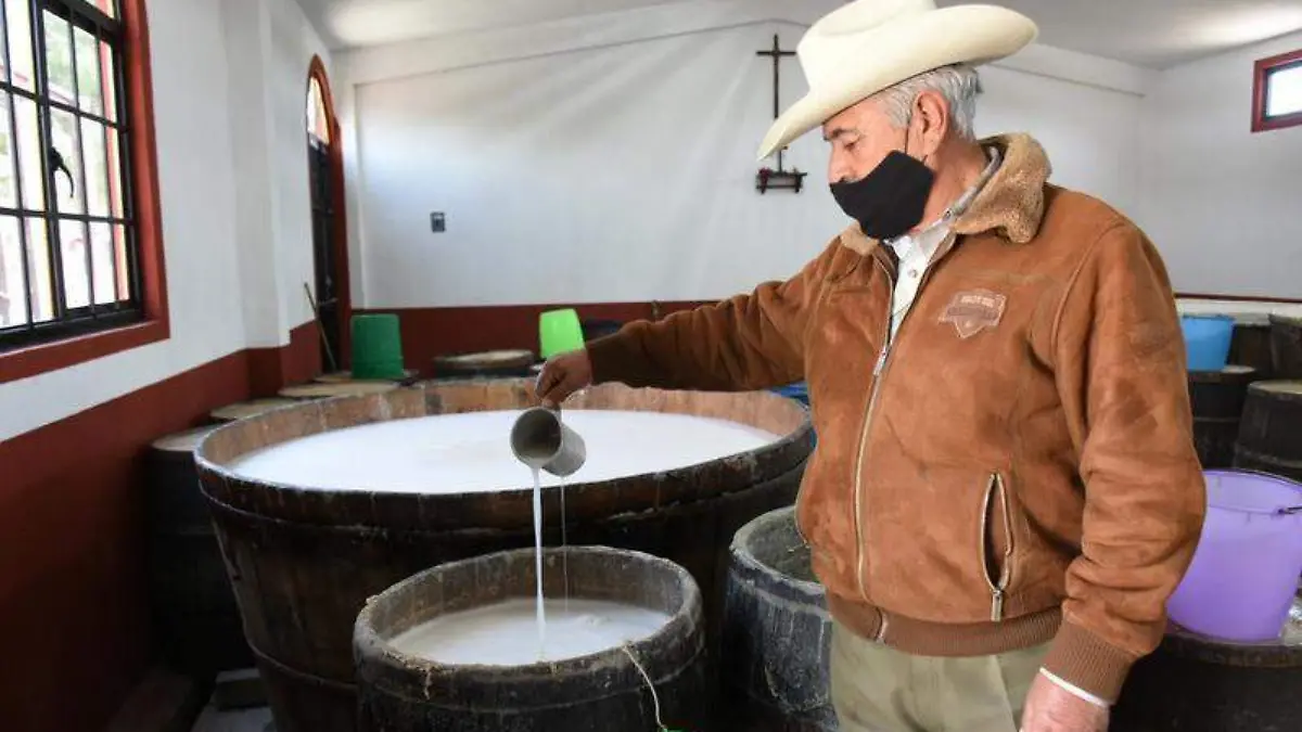 PULQUE