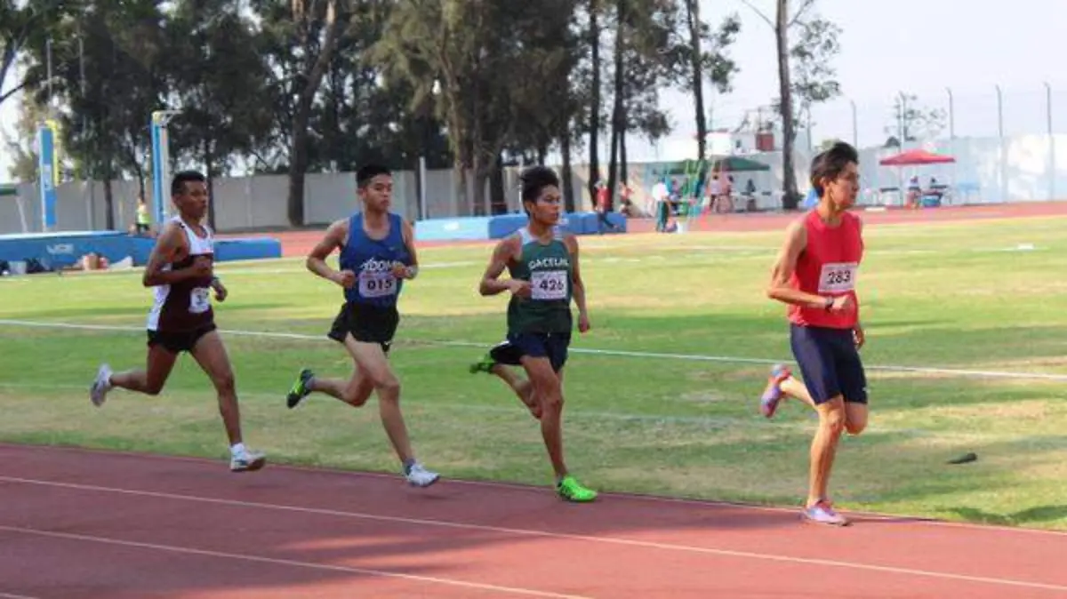 Deerian Imanol (Gacelas)