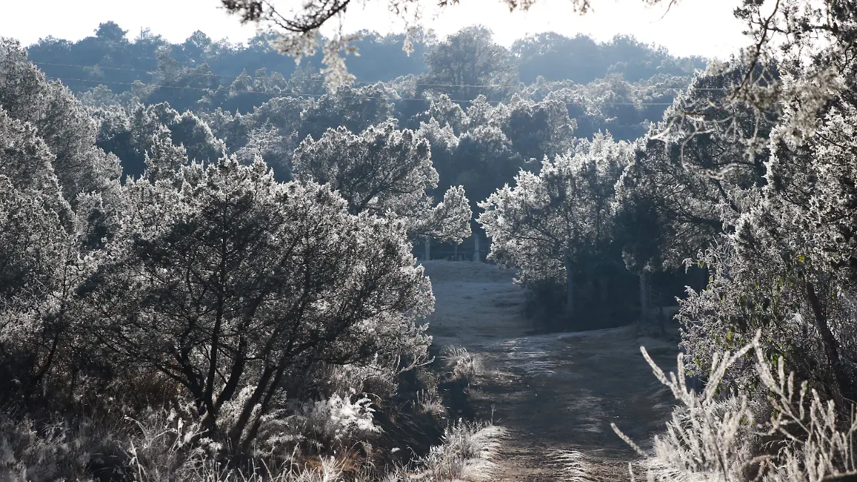 FRIO (2)