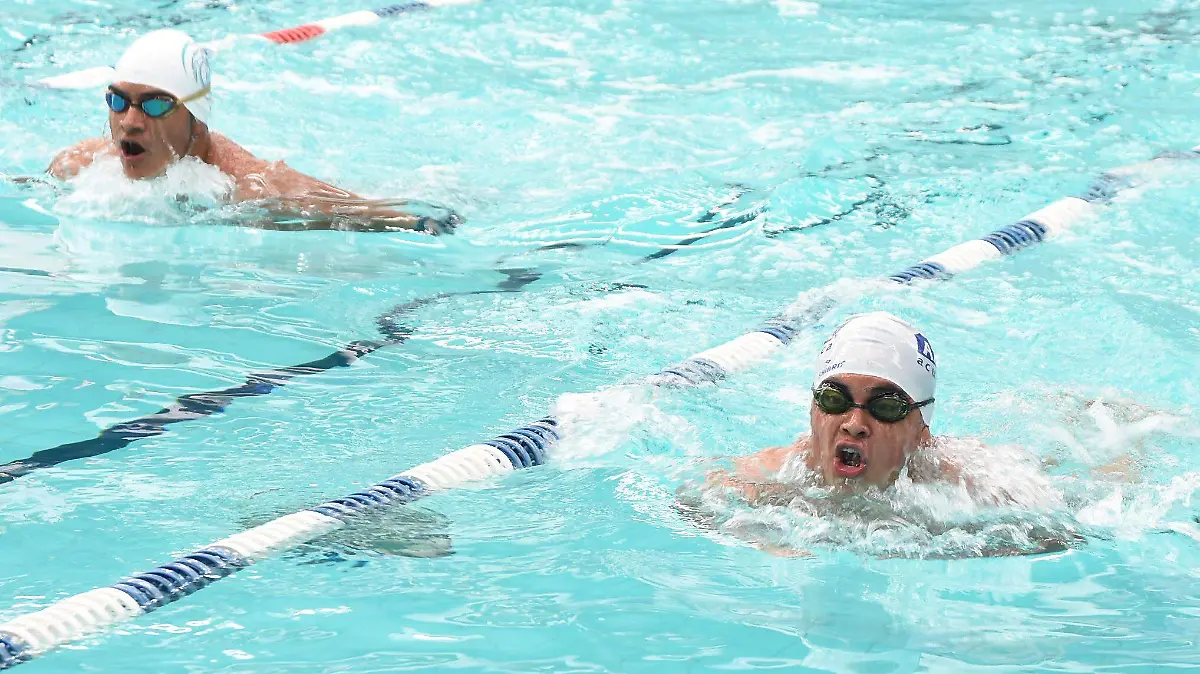 NATACIÓN (1)