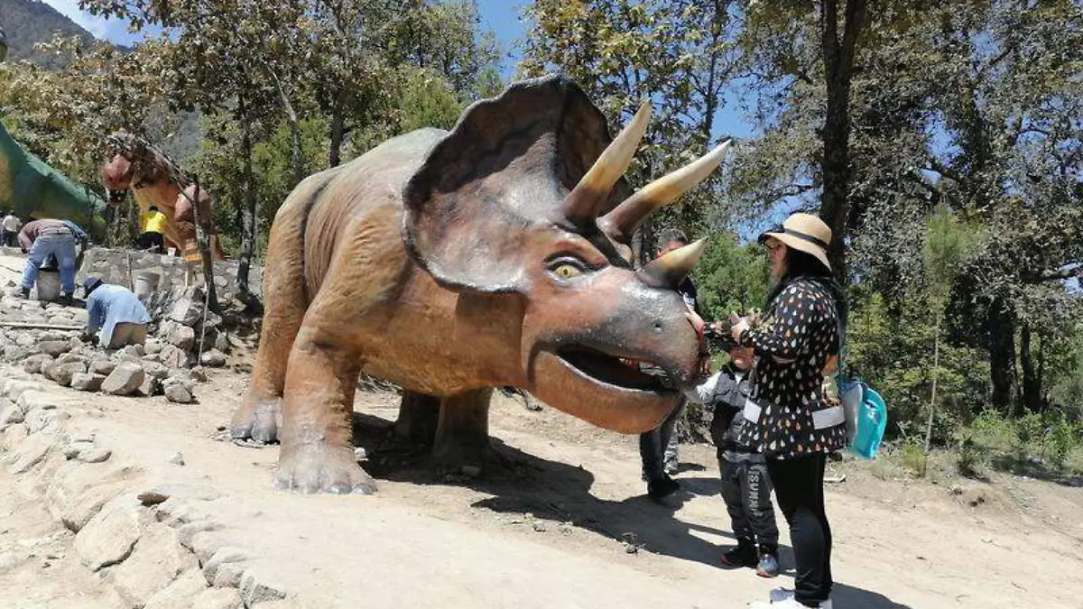 DINO 4