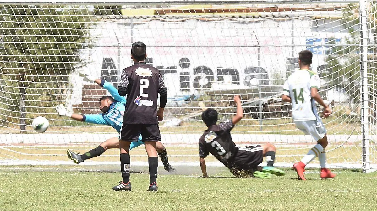LIMONEROS