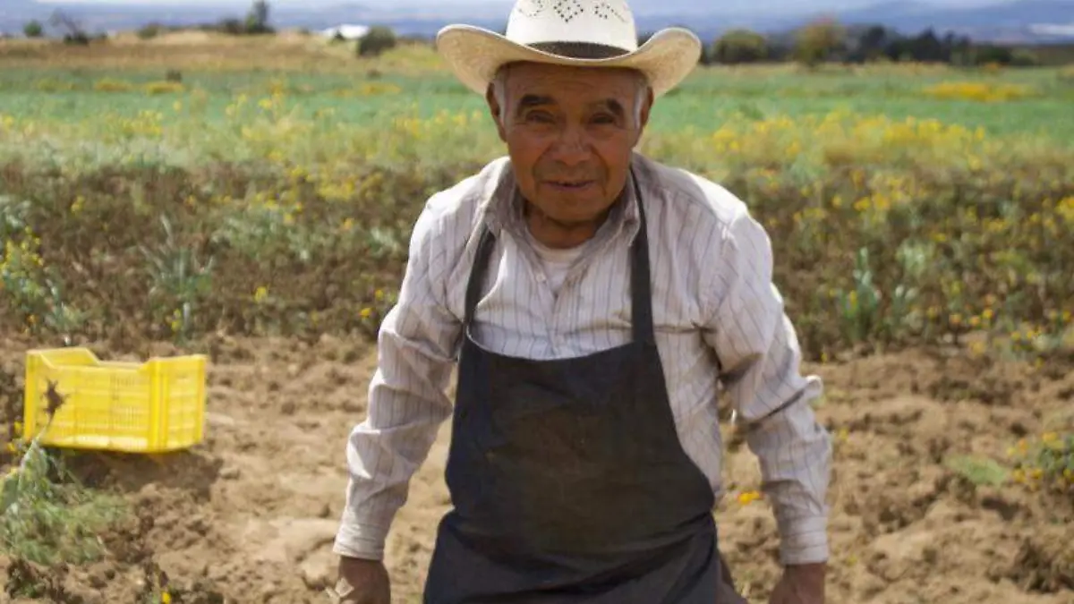 Campo (2)