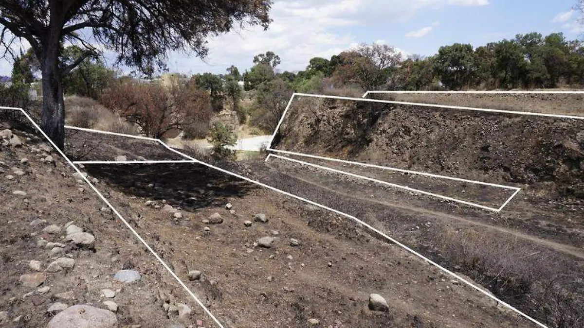Zona arqueológica (3)