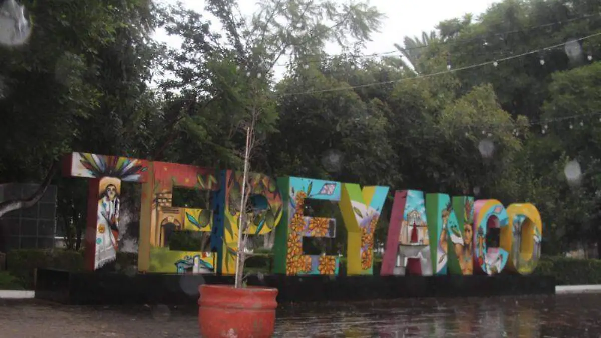 Aguacate (3)