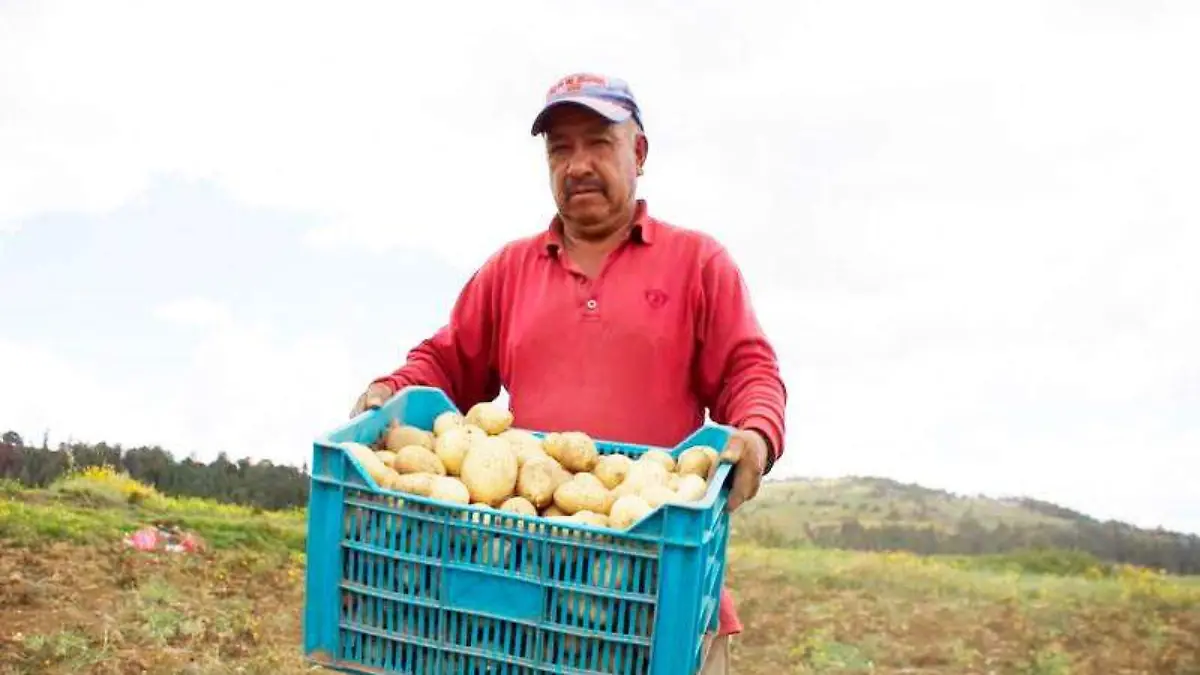 Campo-(3)