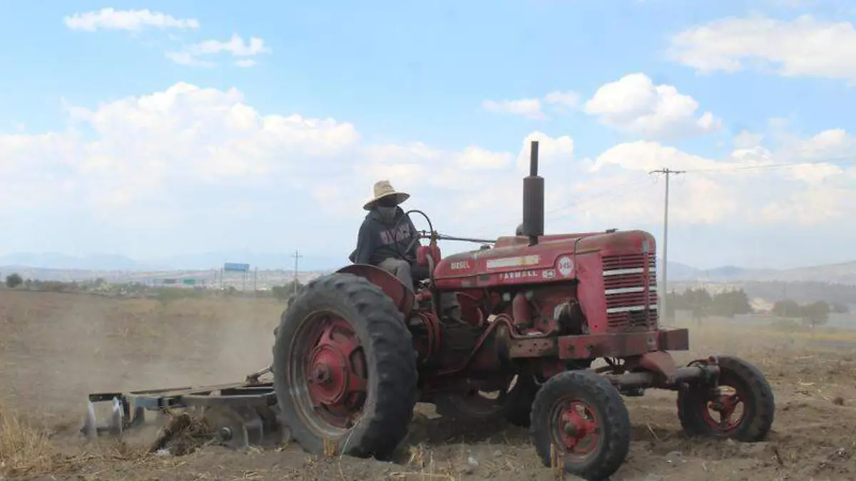 Campo, campesinos (4)