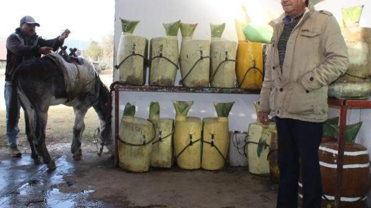 PULQUE 8