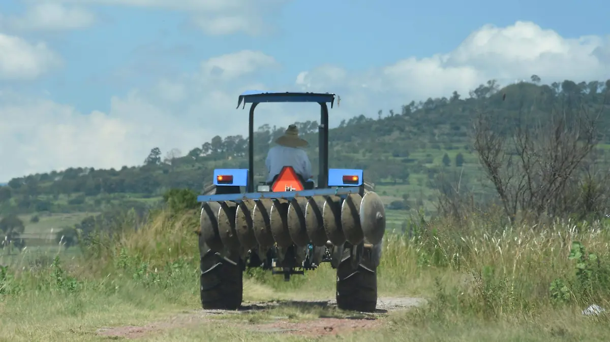 CAMPO