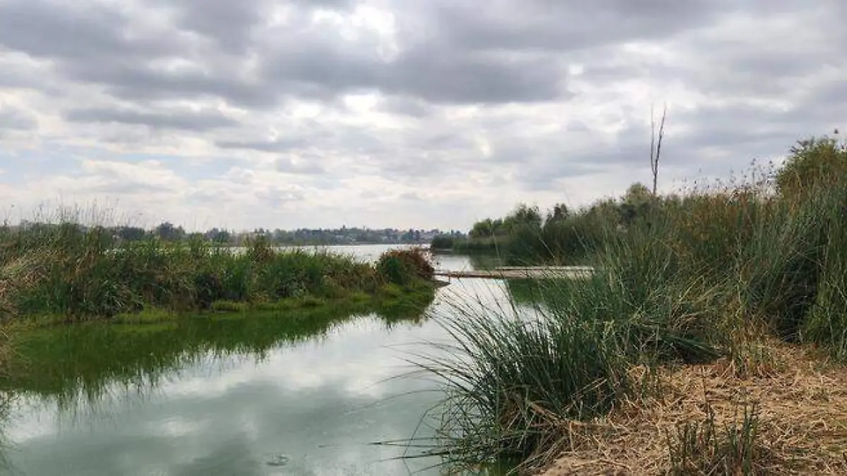 Laguna (3)