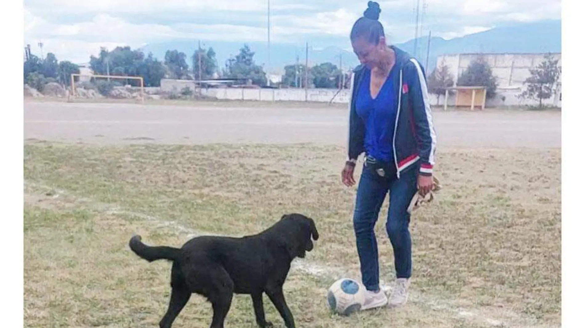 Perro-futbolista-(4)