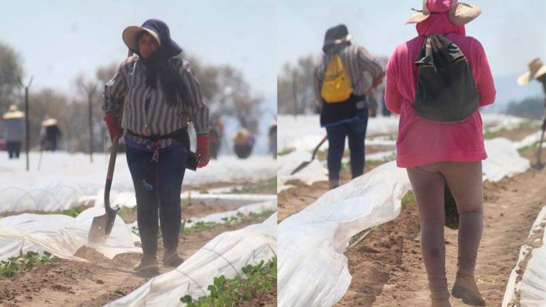 Mujer agroindustria 8