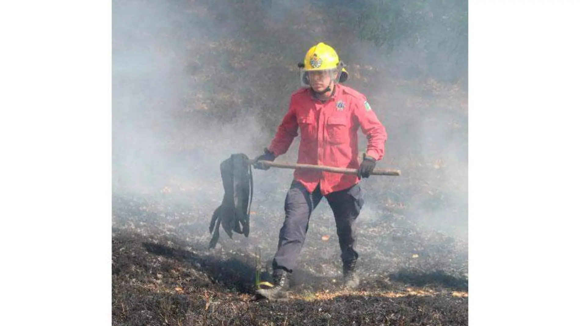 Incendios-forestales