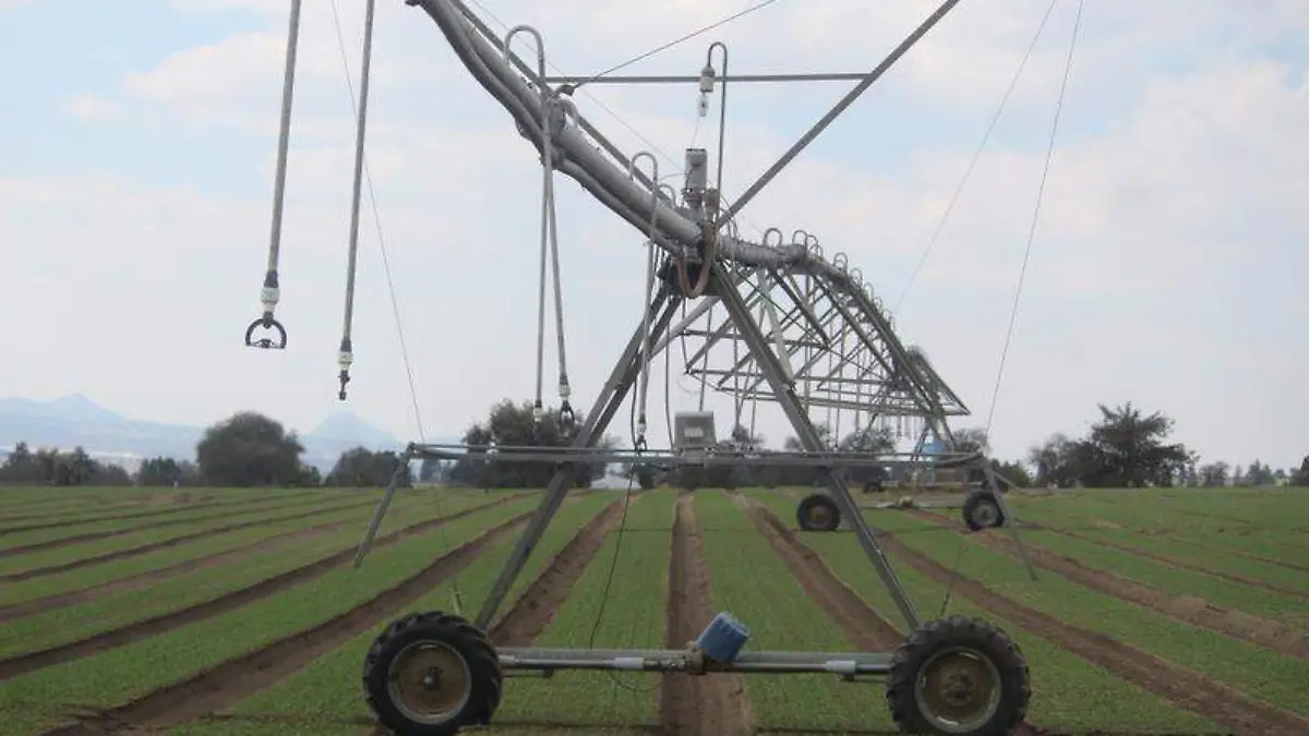 Campo, campesinos, siembra (4)