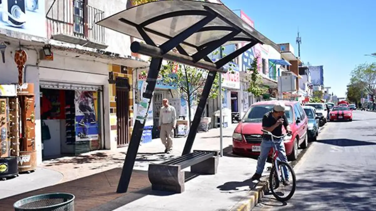 Apizaco-2