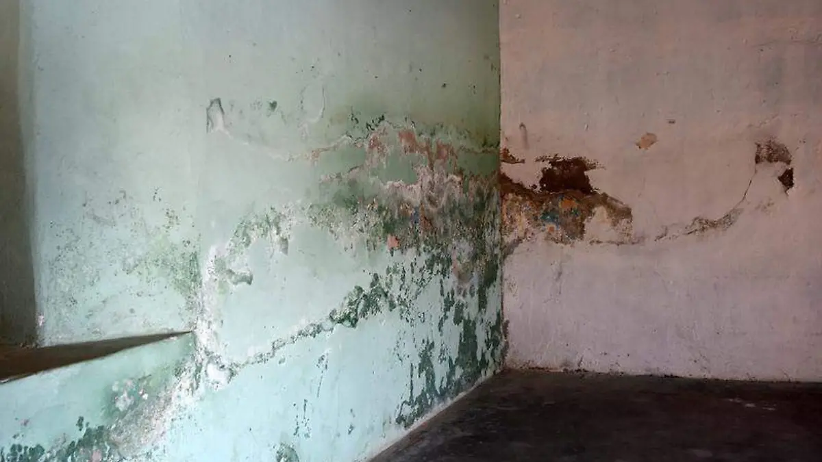 Rehabilitan restaurante (9)