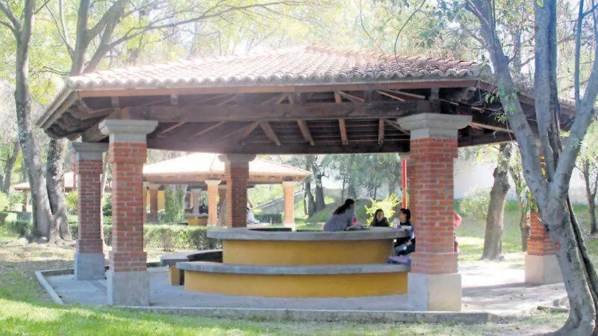 JARDIN 3