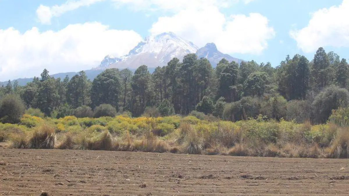 Campo, campesinos (2)