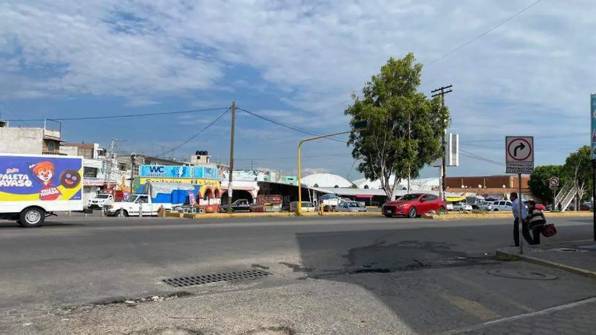 Baches Zacatelco (3)