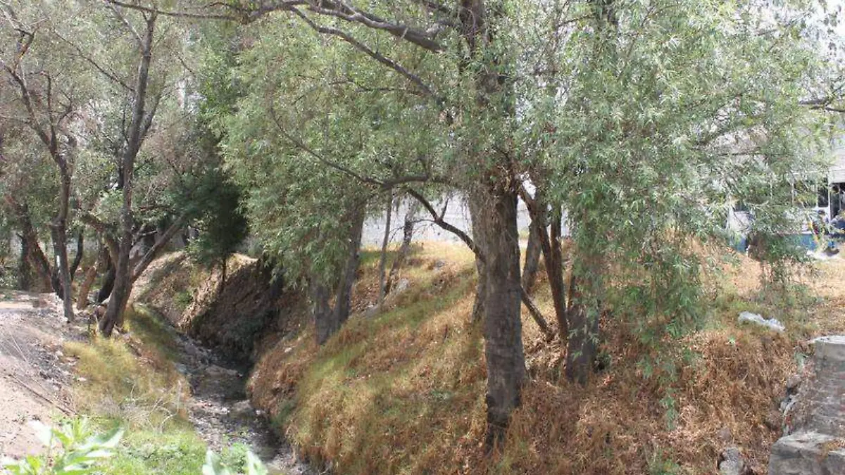 invasión tierras (2)