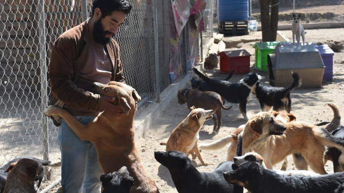 Orejitas de Gala se muda a Cuaxomulco - El Sol de Tlaxcala | Noticias Locales, Policiacas, sobre México, Tlaxcala y el Mundo