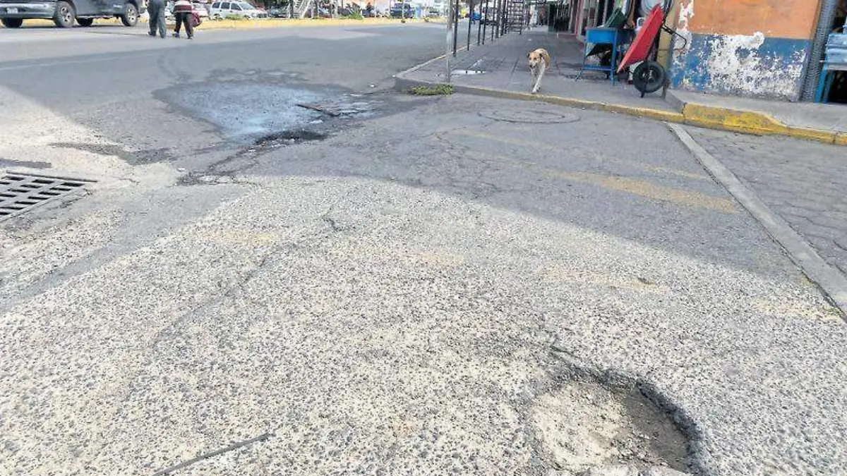 Baches Zacatelco (2)