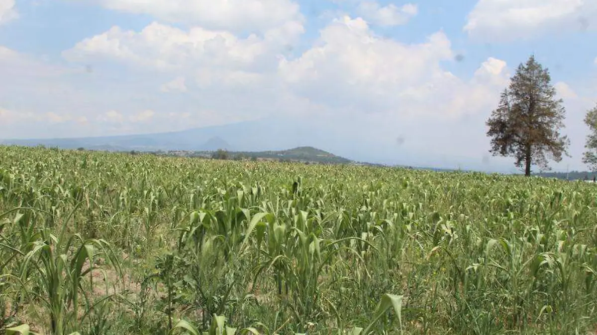 Granizada Atlangatepec (3)