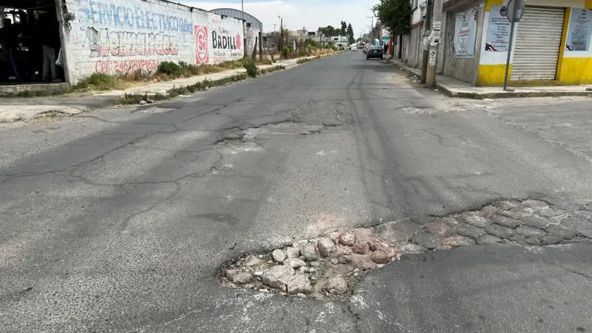 Baches Zacatelco (2)