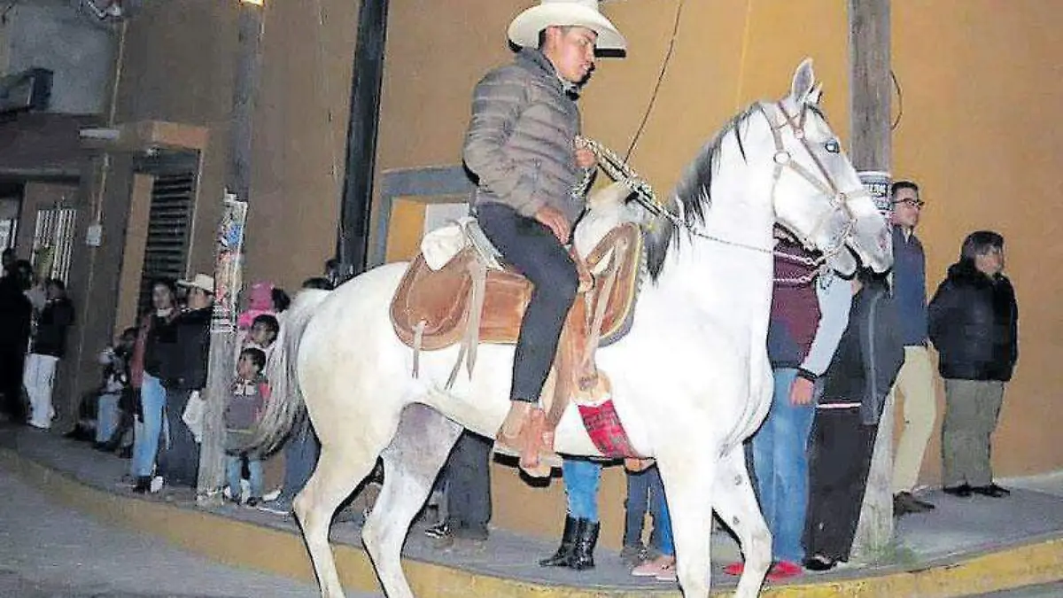 Caballo,-cabalgata