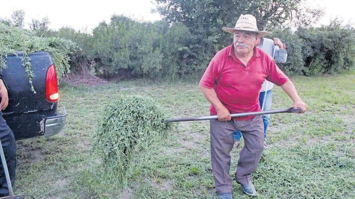 Campesinos, campo (2)