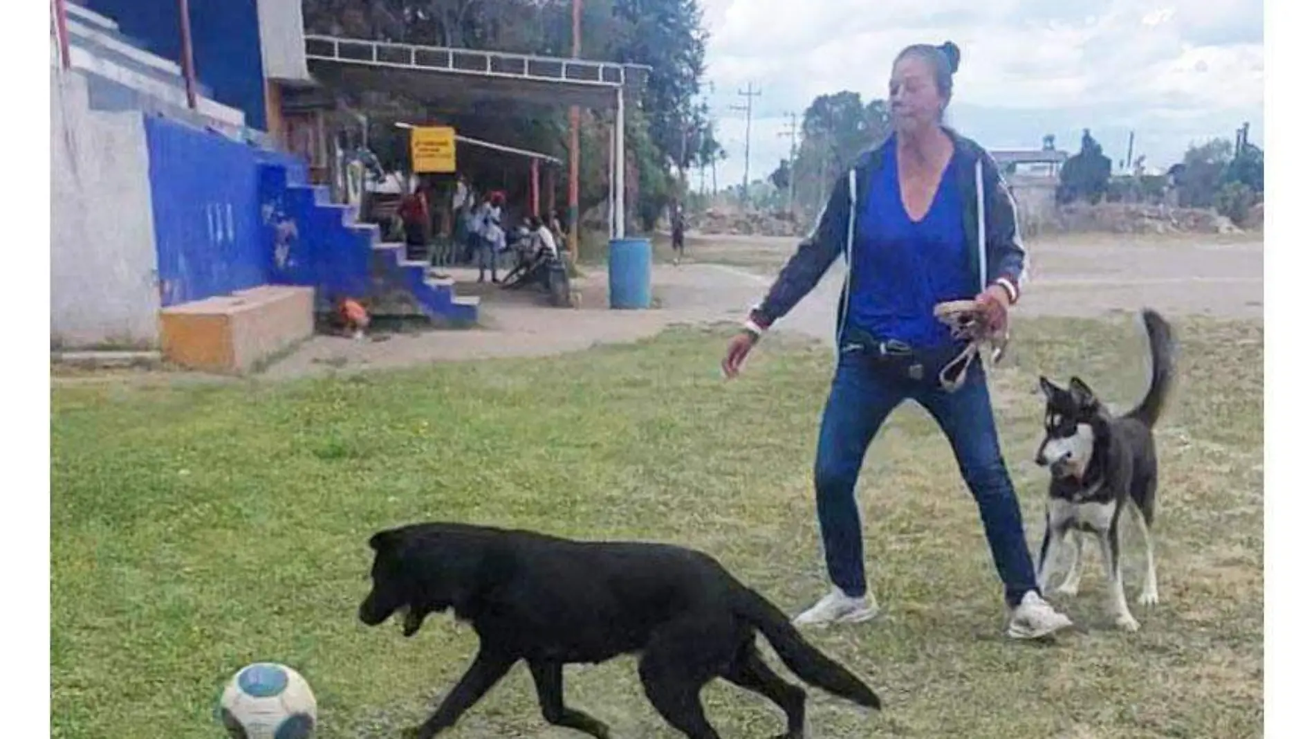 Perro-futbolista-(3)