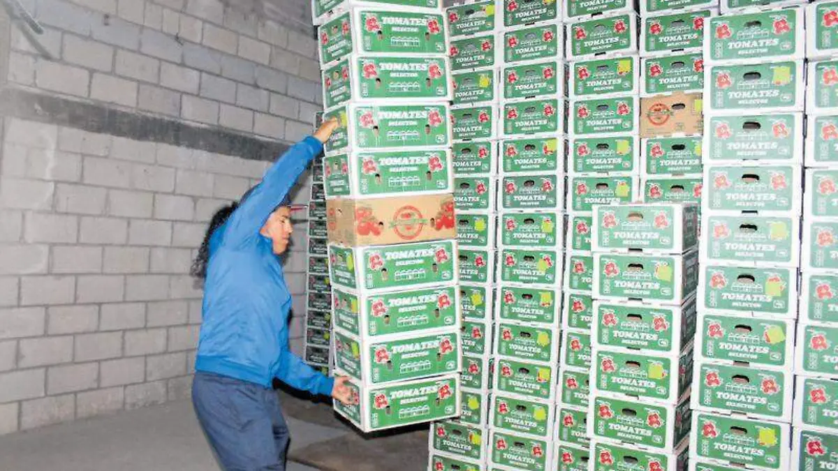 Productores jitomate walmart (4)