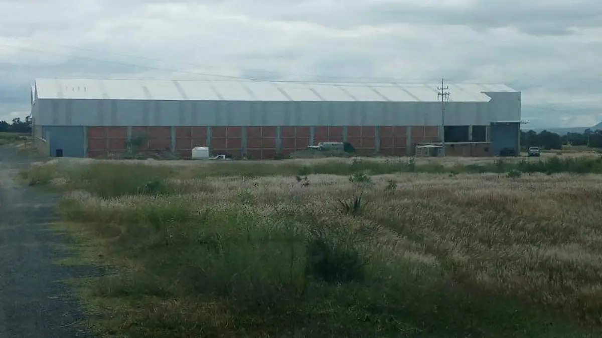 Abuso de poder Teolocholco